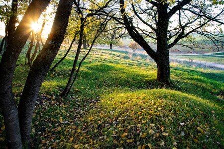 Herbstliches Abendlicht